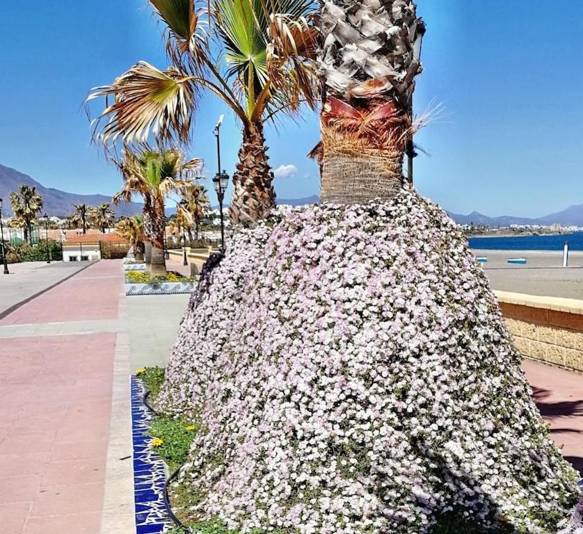 28 Mikonos Playa In Puerto De La Duquesa 2 Bed 2 Bath Apartment Ideally Located To The Beach & Marina Кастильо-де-Сабинильяс Экстерьер фото
